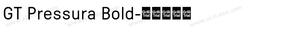 GT Pressura Bold字体转换